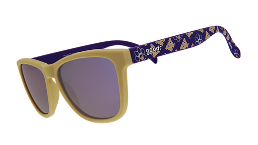 Purple and yellow University of Washington themed sunglasses