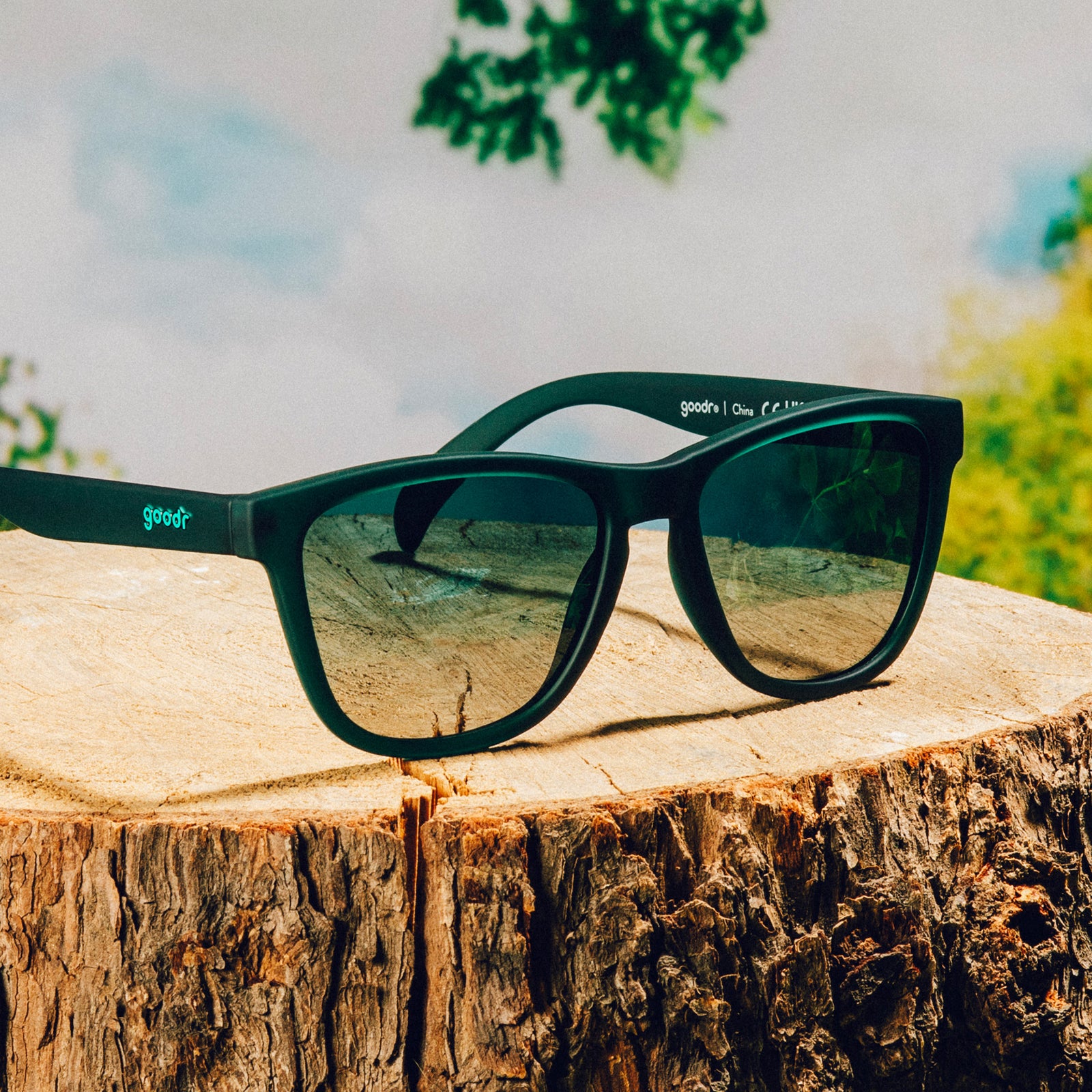 Three-quarter angle view of classic dark teal sunglasses with green gradient lenses on top of a tree trunk against a nature backdrop.