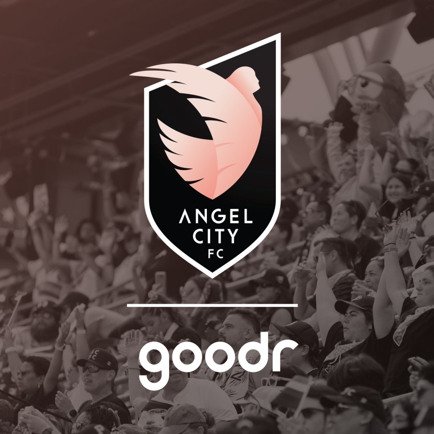 Angel City FC x goodr