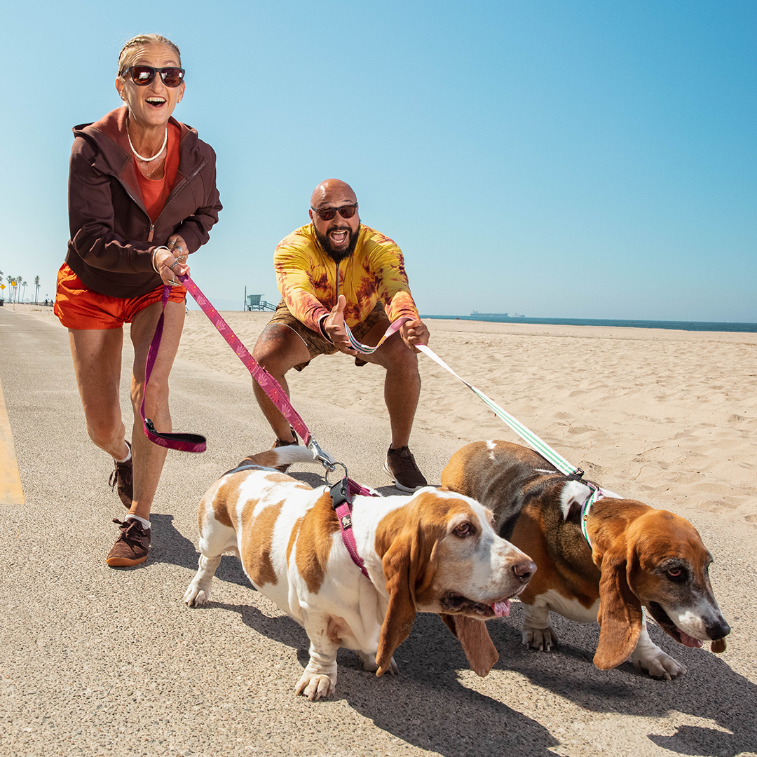 Two people joyfully running on a beach path while walking basset hounds, wearing colorful casual outfits and sunglasses under a clear blue sky.