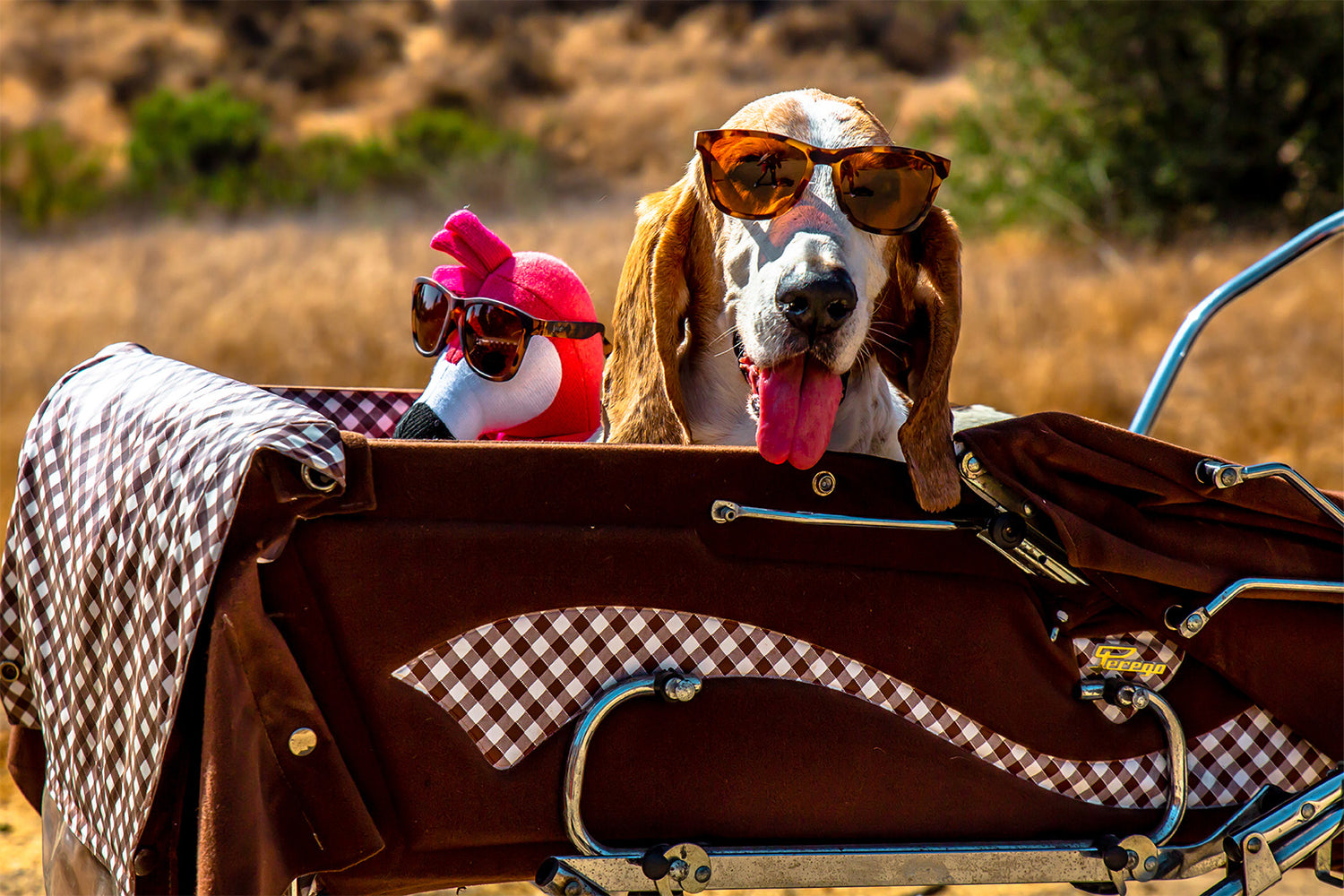 A dog and a flamingo puppet in a stroller, both wearing goodr sunglasses
