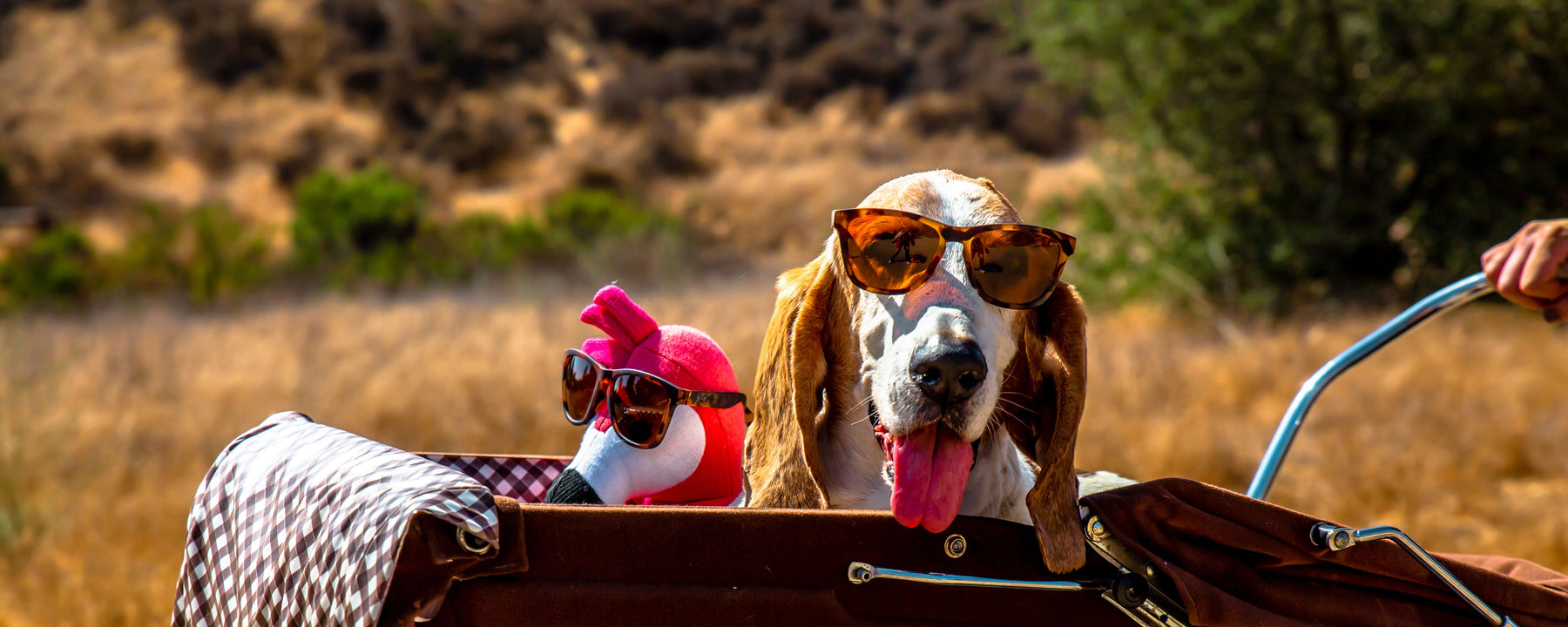 goodr Travel Sunglasses: The Secret Ingredient to Your Next Epic Road Trip