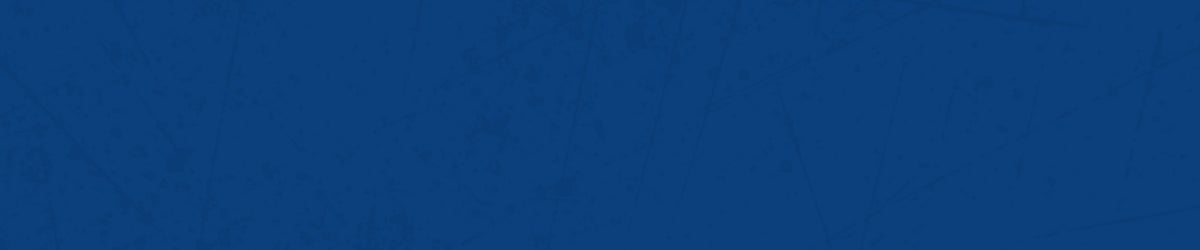 The Collegiate Collection